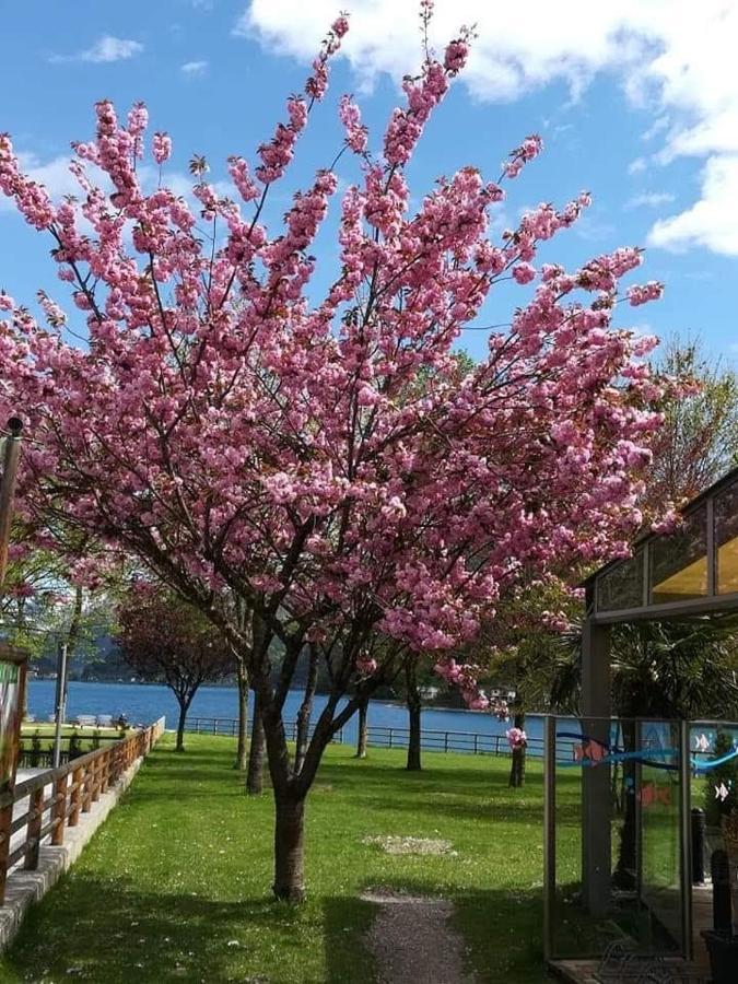 Appartamento Galet Pieve Di Ledro Exterior foto