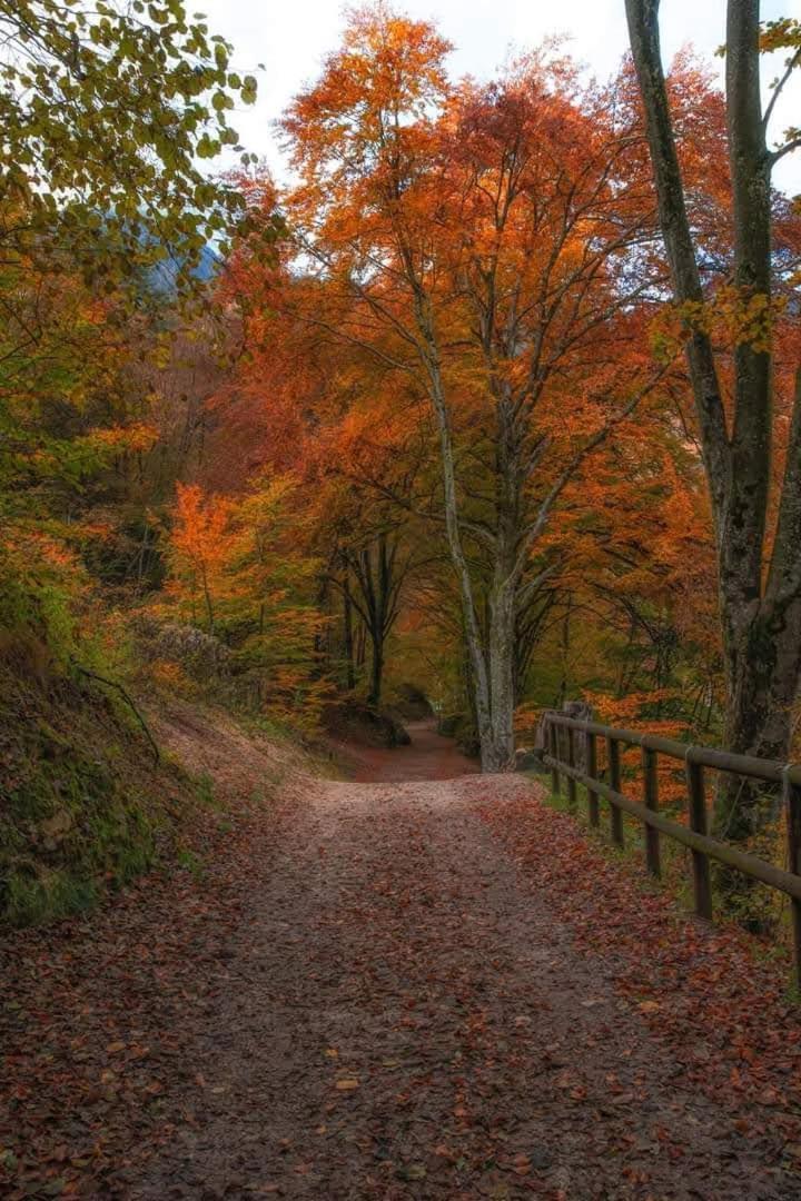 Appartamento Galet Pieve Di Ledro Exterior foto