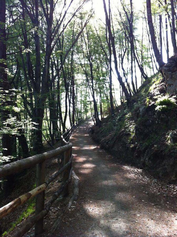Appartamento Galet Pieve Di Ledro Exterior foto